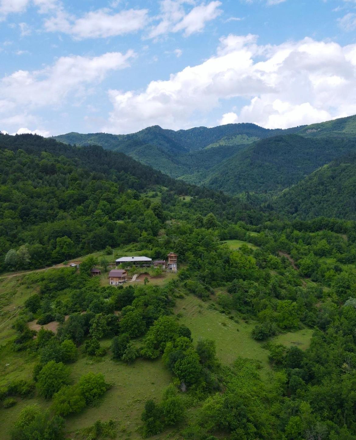 Gentry House Hotel Амбролаури Екстериор снимка